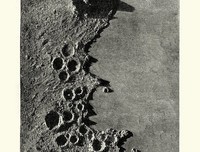 《消逝的星星》观后感摘抄