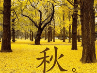 关于得到十孩以可为去的句子