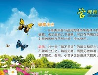 最经典的《蝴蝶效应》名句欣赏