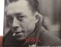我明白你会来，所以我等读后感100字