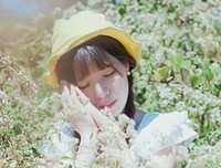 随笔 ♔的优美句子