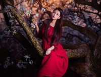 须臾凝香 落红无处的句子