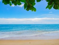 In the mood for love的句子