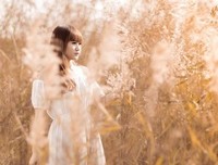 最新的《读懂心灵》经典句子大全