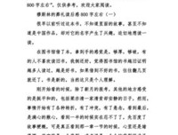 穆斯林的葬礼的读后感大全