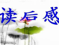 《眼神不败术》读后感100字