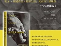 《痛苦与狂喜》经典影评1000字