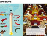 《时代周刊精选少儿百科》读后感100字