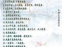 关于薇风起。的句子