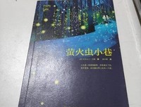 萤火虫小巷读后感1000字