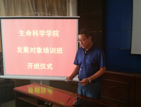 最全的新海诚名句欣赏