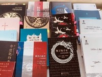 《巴比伦最富有的人》读后感100字