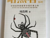 暗黑者外传：惩罚读后感摘抄