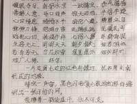 《狐狸的浪漫史》读后感摘抄