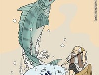 老人与海读后感精选