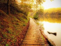 最全的《分开旅行》经典句子大全