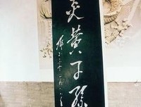 《十只独木舟》观后感摘抄