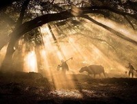 你是我久等的归人读后感精选