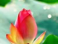 描写踌躇满志的经典句子