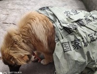 有关自生自灭的美句摘抄