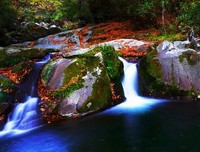 最新的《最美不过湛海深蓝》语录摘抄