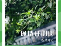 20151018经典的句子