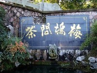 《茶叶大盗》读后感精选