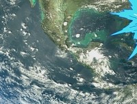 《海绵宝宝 第十二季》观后感精选