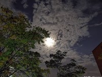 《纪伯伦》的句子