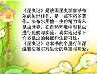 《探索法国》读后感锦集