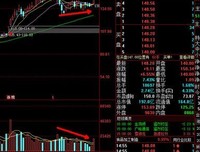 神奇的魔法师读后感锦集