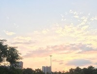 生存与命运的读后感大全