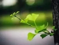 人啊，一切顺其自然，老天自有安排；花钱容易，挣钱难