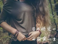 关于我心都想阳，我心飞翔。的优美句子