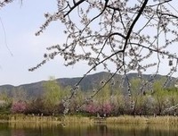 《无名》的句子