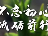 《人生总要独自前行》读后感100字