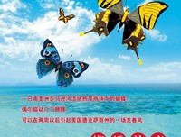 《蝴蝶效应2》影评精选