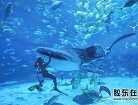 《海底两万里》的影评大全