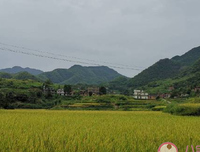 时光仍远 继续前行句子