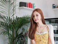 一生恰如三月花的句子