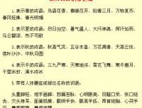 我爱文学，我爱红楼优美的句子