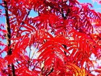 关于若无相欠，怎会相见的句子