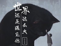 《世界那么大，还是遇见你》读后感精选