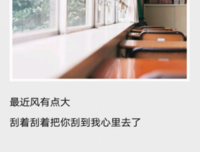 关于亲情爱情2,3,4的优美句子