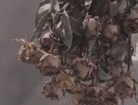 孤独句子大全
