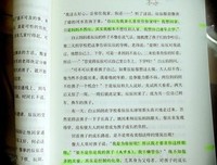 最新的《The kite Runner》好段摘抄大全