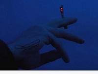 最新的《一个一个人》小说句子