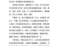 《再见大师》的读后感大全
