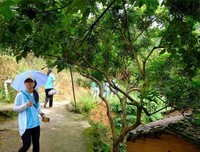出发吧，三下乡