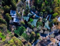 《庐山隐士》读后感100字
